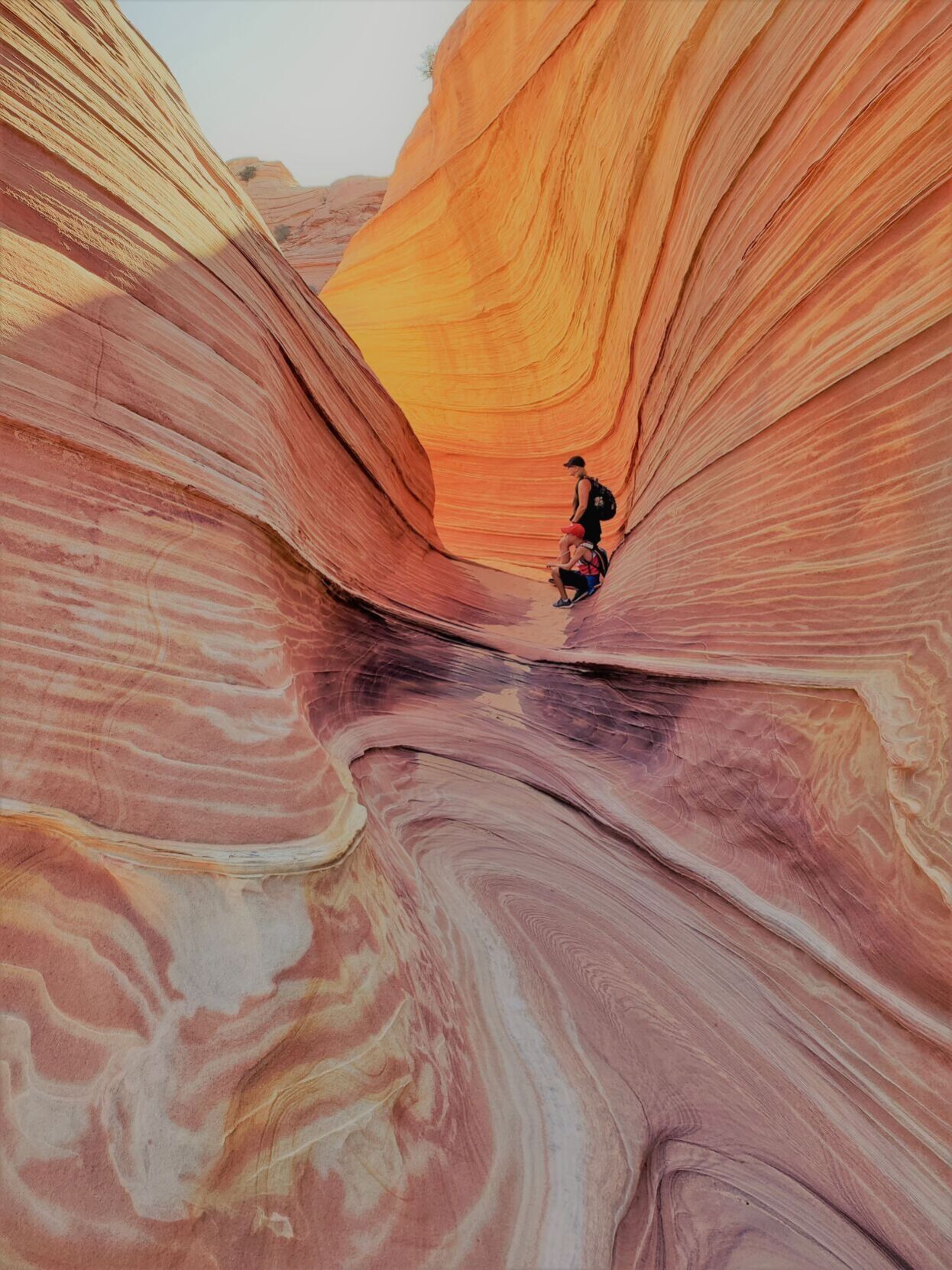 The Wave